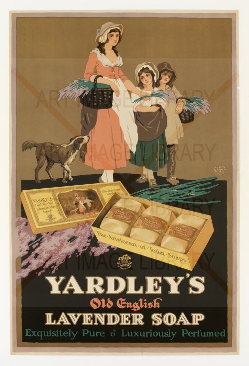 Image no. 4971: Yardley`s Old English Lave... (Austin Cooper), code=S, ord=0, date=-